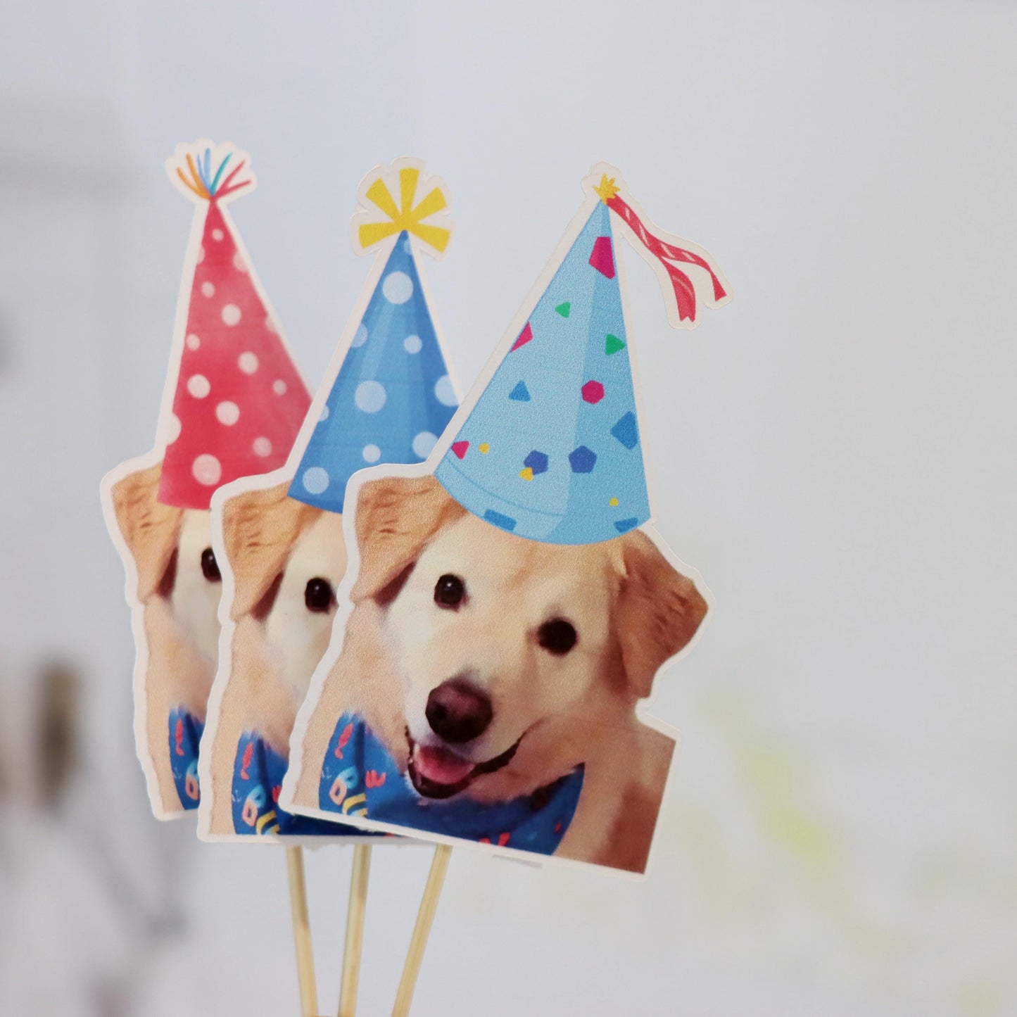 Custom Dog Birthday Cupcake Toppers, Personalized Pet Photo Toppers for Puppy Parties, Face Photo Toppers for Pet Birthdays