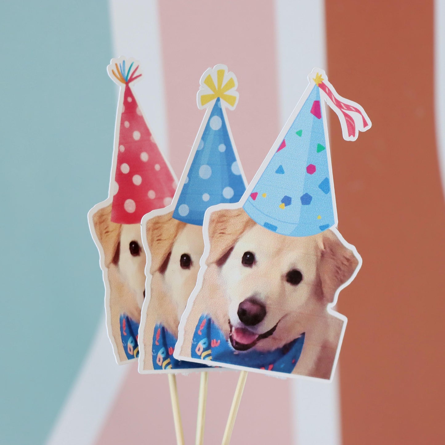 Custom Dog Birthday Cupcake Toppers, Personalized Pet Photo Toppers for Puppy Parties, Face Photo Toppers for Pet Birthdays